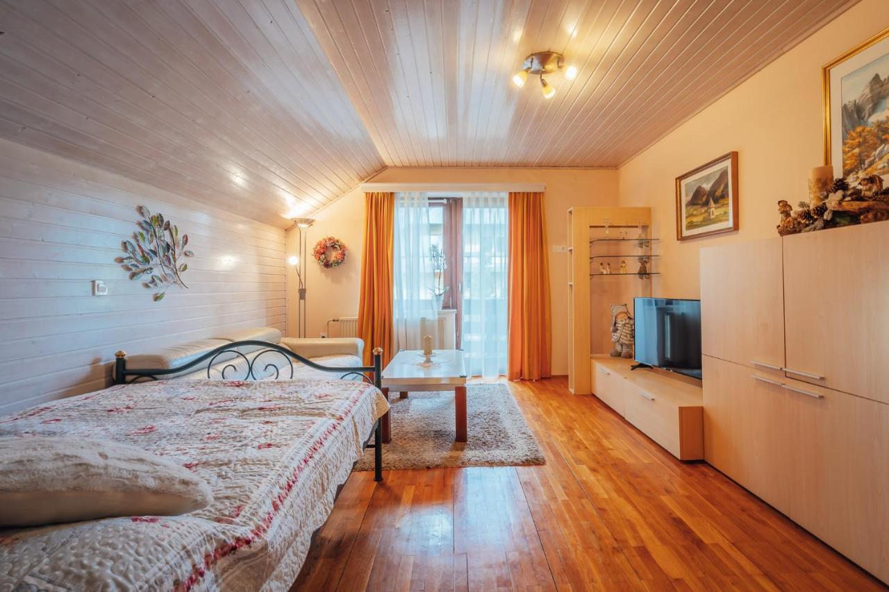 Apartma Borovc Apartment