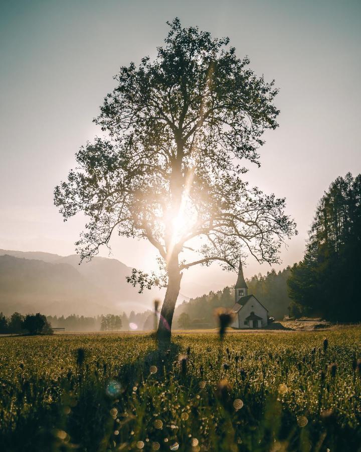 Apartma Borovc * Mojstrana